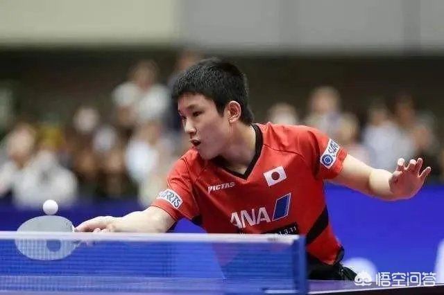 2019卡塔尔公开赛男单1/8比赛，张本智和零封梁靖崑，梁靖崑输球的原因是什么？
