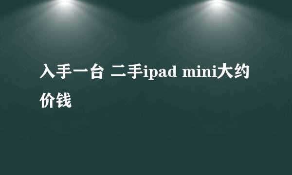 入手一台 二手ipad mini大约价钱