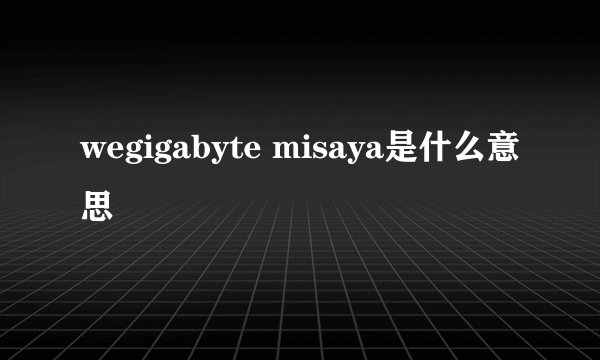 wegigabyte misaya是什么意思