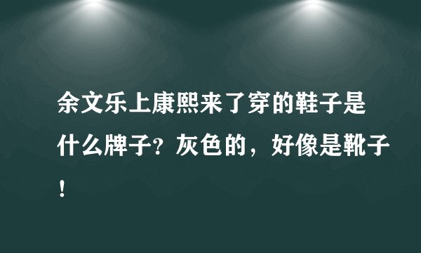 余文乐上康熙来了穿的鞋子是什么牌子？灰色的，好像是靴子！