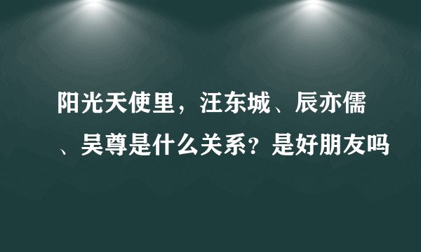 阳光天使里，汪东城、辰亦儒、吴尊是什么关系？是好朋友吗