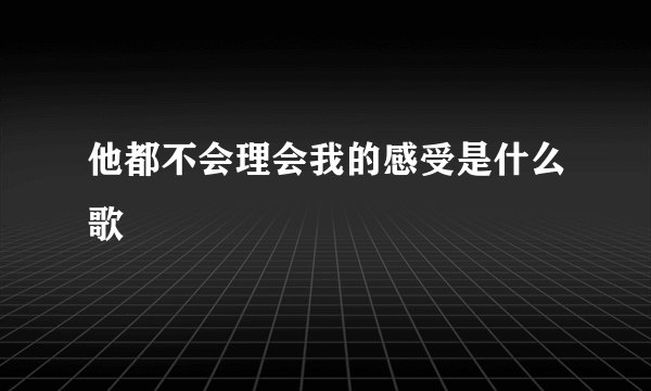 他都不会理会我的感受是什么歌