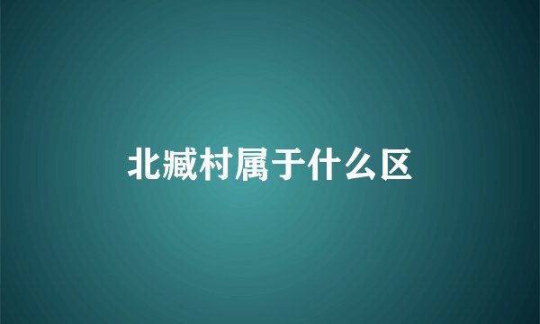 北臧村属于什么区