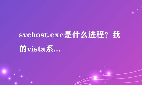 svchost.exe是什么进程？我的vista系统怎么有16个进程？是不是中毒了？