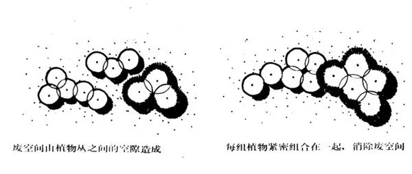 干货 | 庭院植物打造，营造十足空间感