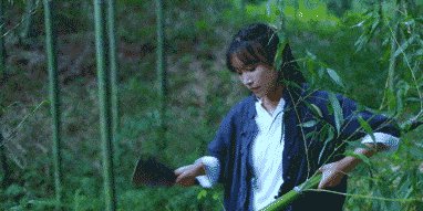 坐拥几千万粉丝的李子柒，被质疑的真实，到底长什么样？