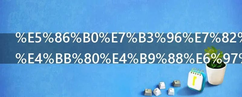 冰糖炖雪梨什么时候播