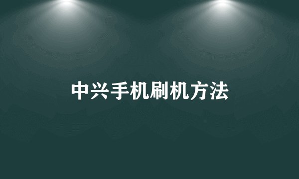 中兴手机刷机方法