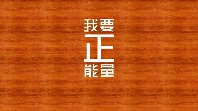 网站不用下载直接进入视频