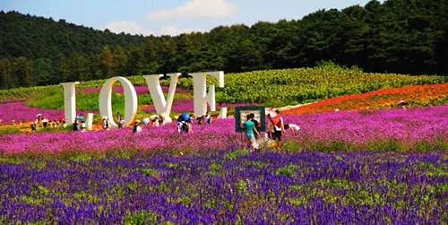 婚纱照哪里拍外景好 北京四大外景婚纱照场地盘点