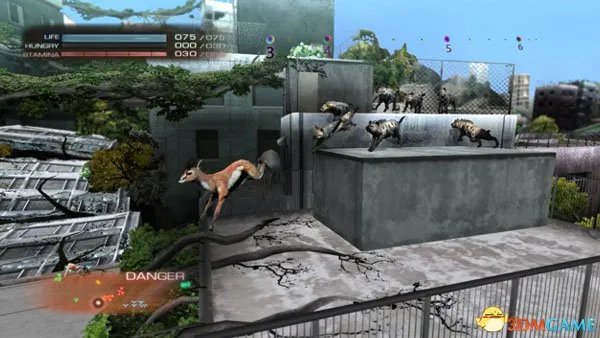 索尼开大会研究动物生存游戏《东京丛林》后续作