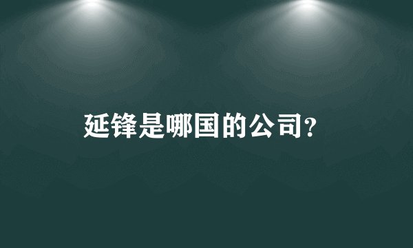 延锋是哪国的公司？