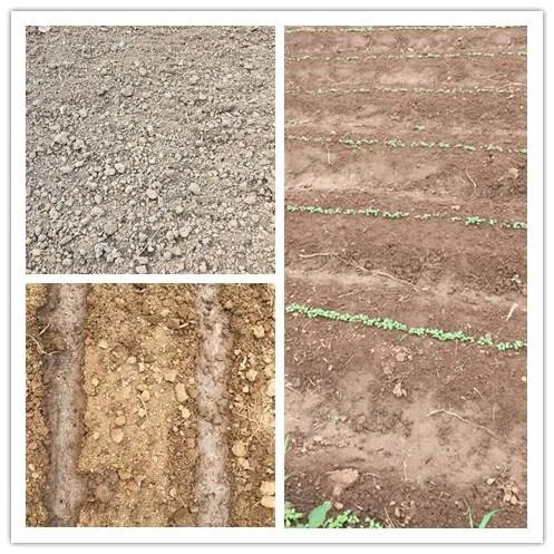 蔬菜栽培技术全套教程？