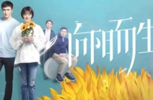 向阳而生一周更新几集