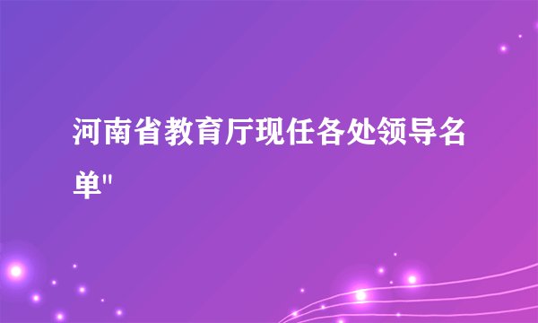 河南省教育厅现任各处领导名单