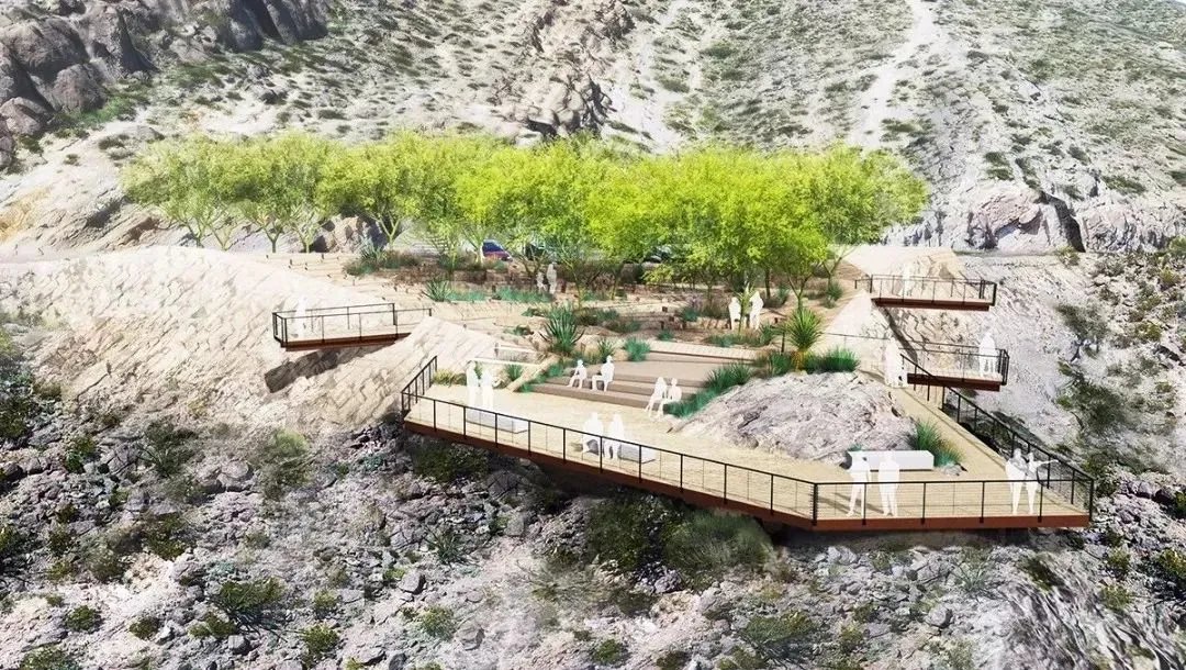 干货 | 庭院植物打造，营造十足空间感