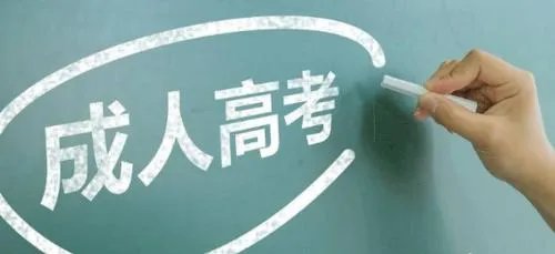 成人高考可以报名什么资格证？