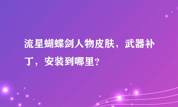 流星蝴蝶剑人物皮肤，武器补丁，安装到哪里？