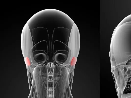 天然骨胶原的作用及副作用