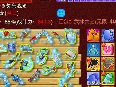 Q宠大乐斗实战提升攻略？