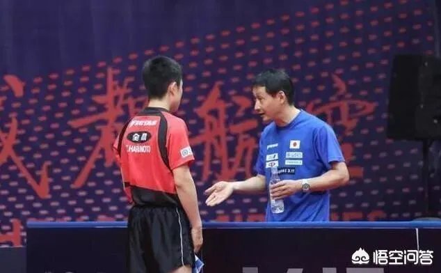 华裔兄妹虎视眈眈，欲来华参加乒超联赛，偷师学艺遭拒绝。你怎么看？