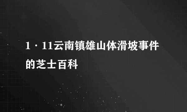 1·11云南镇雄山体滑坡事件的芝士百科