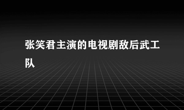 张笑君主演的电视剧敌后武工队