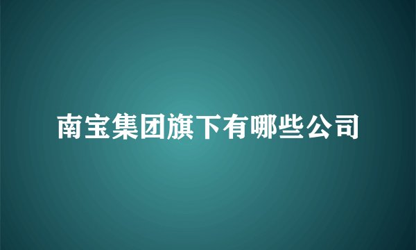 南宝集团旗下有哪些公司