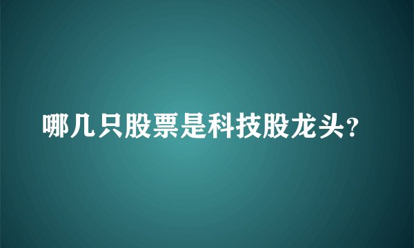 哪几只股票是科技股龙头？