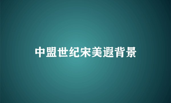 中盟世纪宋美遐背景