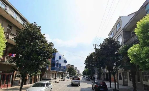 上海市南汇区文苑街是个什么梗?