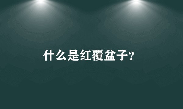 什么是红覆盆子？