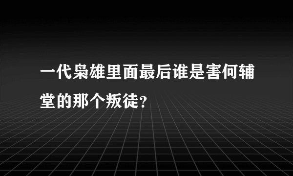 一代枭雄里面最后谁是害何辅堂的那个叛徒？