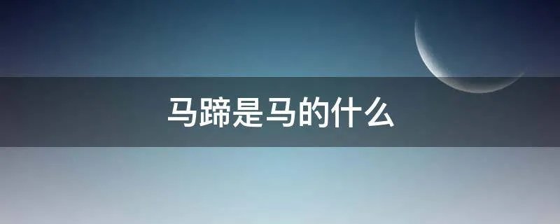马蹄是马的什么