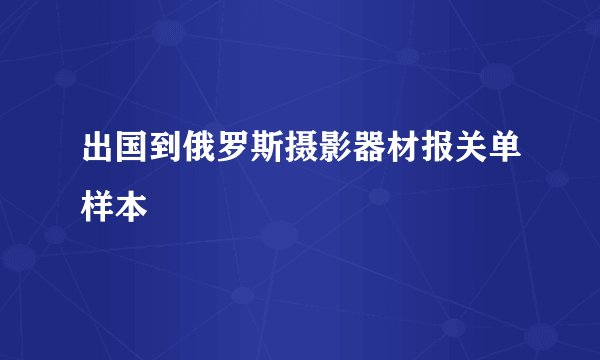 出国到俄罗斯摄影器材报关单样本