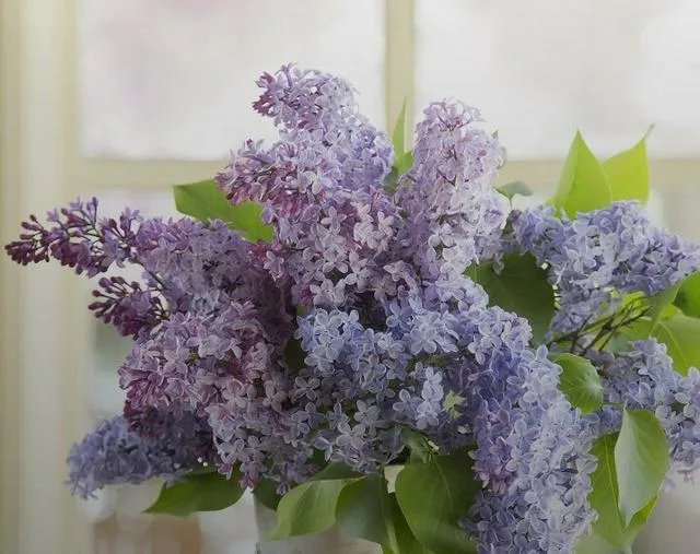 城乡居民养老保险和职工养老保险如何合并