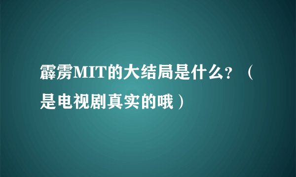 霹雳MIT的大结局是什么？（是电视剧真实的哦）