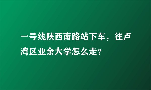 一号线陕西南路站下车，往卢湾区业余大学怎么走？