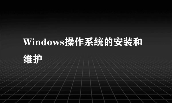 Windows操作系统的安装和维护