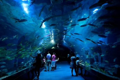 北京海洋馆和天津海昌极地海洋馆，这两个地方有什么区别？