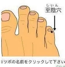 黄帝内经使用手册