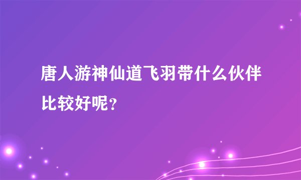 唐人游神仙道飞羽带什么伙伴比较好呢？