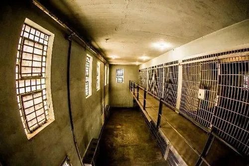 纽约州四所监狱成新冠病毒滋生地，为何监狱疫情高发？