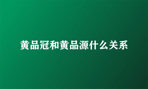 黄品冠和黄品源什么关系
