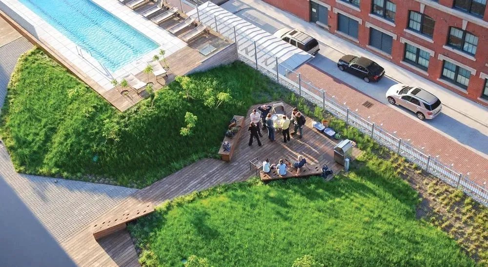 干货 | 庭院植物打造，营造十足空间感