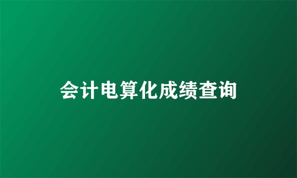 会计电算化成绩查询