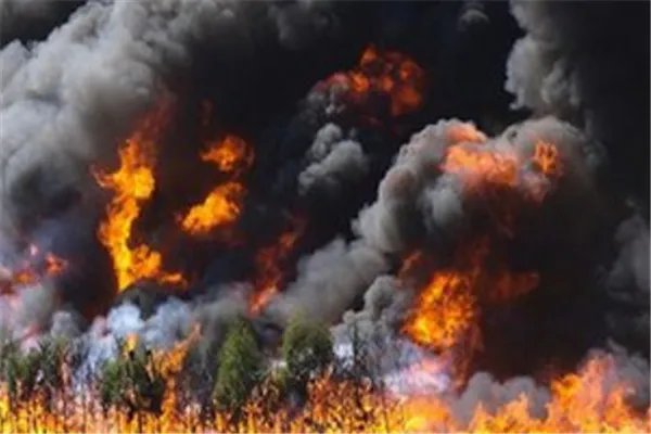 四川凉山19死森林火灾调查结果公布，怎么处理的？