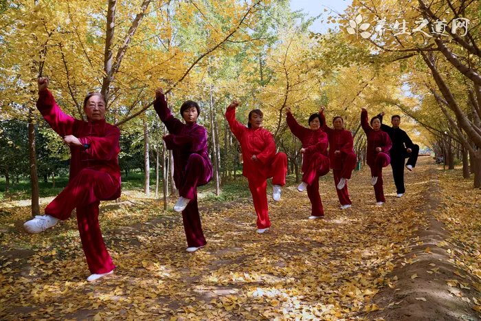 描写人物外貌神态动作的句子大全