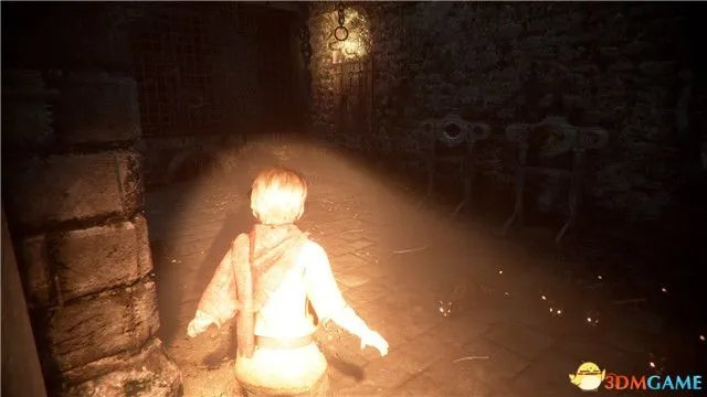 《瘟疫传说：无罪》 图文全剧情流程攻略 全章节谜题解答全收集攻略