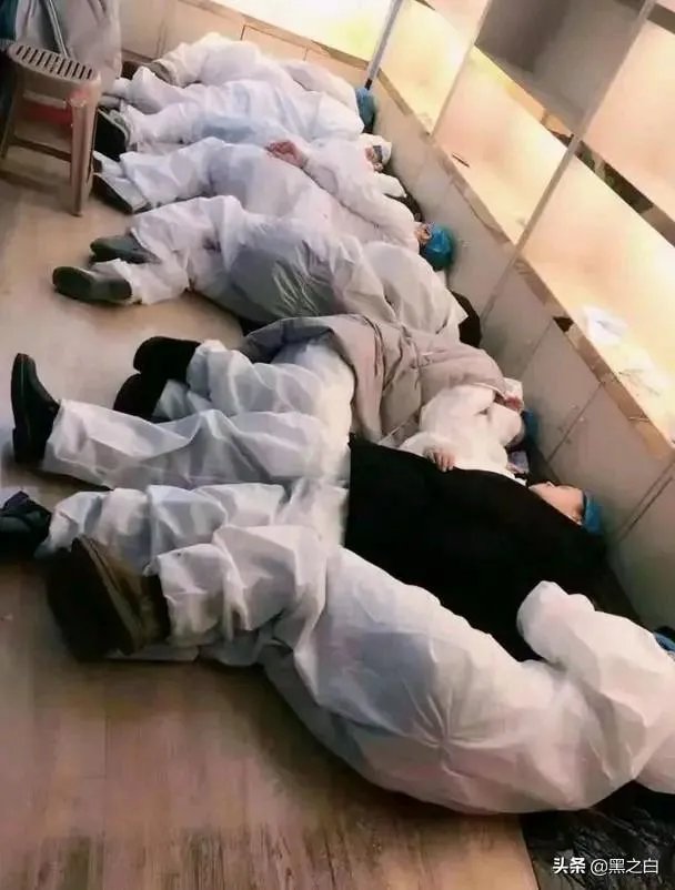 2020高考作文题，你想写哪篇？